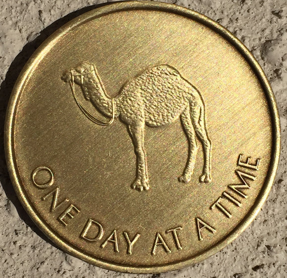 Camel Sobriety Medallions