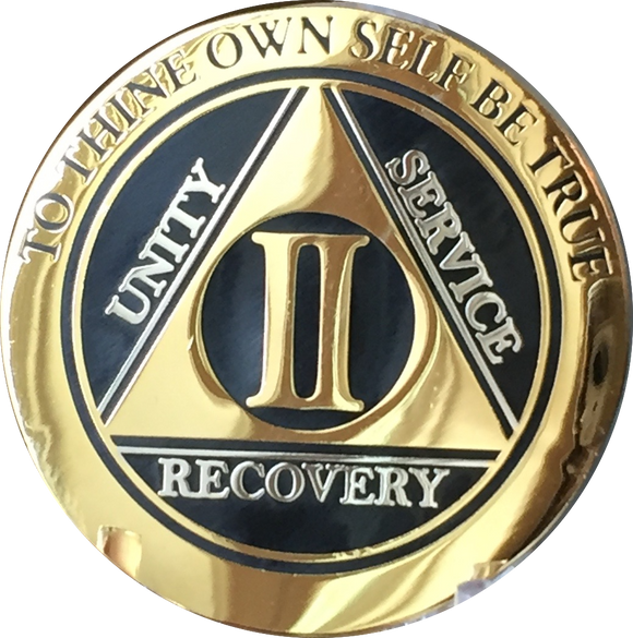 2 Year AA Chips Sobriety Coins Given By Members of Alcoholics Anonymous