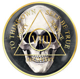 1 - 20 Year AA Medallion Skull Design Black Sobriety Chip Serenity Prayer Back