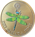 1 - 10 Year Green Color Dragonfly One Day At A Time Serenity Prayer Medallion