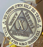 10 Year AA Medallion Trust God Clean House Help Others Doctor Bob Chip