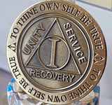 1 Year AA Medallion Trust God Clean House Help Others Doctor Bob Chip