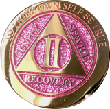 2 Year AA Medallion Elegant Glitter Pink Gold & Silver Plated Sobriety Chip