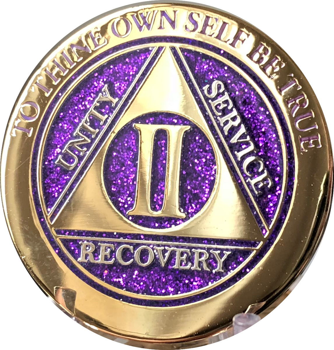RecoveryChip logo