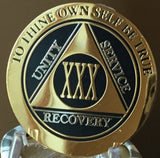 30 Year AA Medallion Elegant Black Gold & Silver Plated RecoveryChip Design