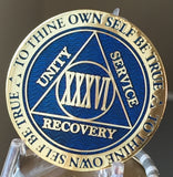 36 Year AA Medallion Reflex Blue Gold Plated RecoveryChip Design
