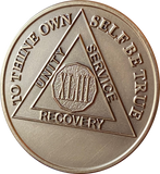 43 Year AA Medallion Premium Bronze Sobriety Chip Lion Back