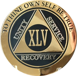 45 Year AA Medallion Elegant Black Gold & Silver Plated RecoveryChip Design