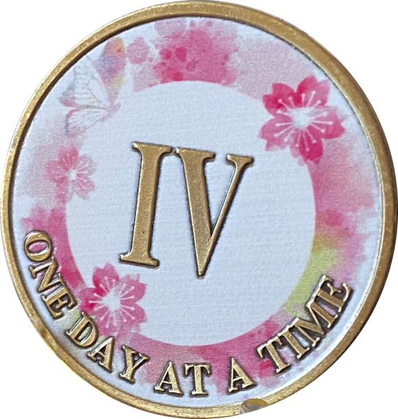 4 Year One Day At A Time Pink Lotus Flower Butterfly Medallion Serenity Prayer Chip AA NA