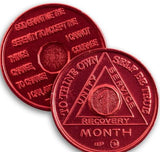 24 Coin 2 Sets of 12 Month 1-11 and 24 Hours AA Medallions Aluminum Colored Sobriety Chips