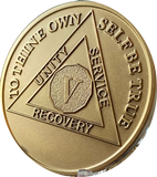 5 Year AA Medallion Premium Bronze Sobriety Chip Lion Back