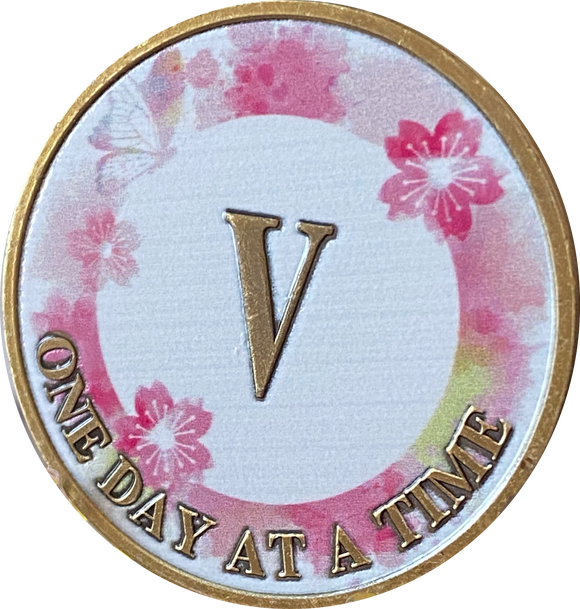 5 Year One Day At A Time Pink Lotus Flower Butterfly Medallion Serenity Prayer Chip AA NA
