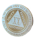 20 Year AA Medallion 1 oz Fine Silver Sobriety Chip Serenity Prayer Back .999 Pure