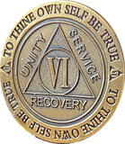 6 Year AA Medallion Trust God Clean House Help Others Doctor Bob Chip