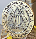 7 Year AA Medallion Trust God Clean House Help Others Doctor Bob Chip