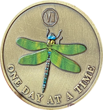 1 - 10 Year Green Color Dragonfly One Day At A Time Serenity Prayer Medallion