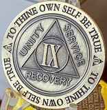 9 Year AA Medallion Trust God Clean House Help Others Doctor Bob Chip
