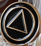 AA Lapel Pin Black Gold Plated Circle Triangle Design No Year Plain Front 25mm