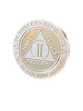 2 Year AA Medallion .999 Fine Silver 1 oz Sobriety Chip Serenity Prayer Back Elegant Design