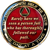 2 Year Founders AA Medallion Blue Bill & Bob Tri-Plate Sobriety Chip