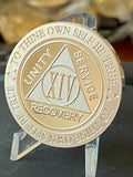 14 Year AA Medallion 1 oz Fine Silver Sobriety Chip Serenity Prayer Back .999 Pure