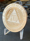 17 Year AA Medallion 1 oz Fine Silver Sobriety Chip Serenity Prayer Back .999 Pure