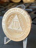 17 Year AA Medallion 1 oz Fine Silver Sobriety Chip Serenity Prayer Back .999 Pure