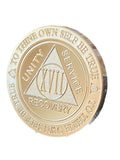 17 Year AA Medallion 1 oz Fine Silver Sobriety Chip Serenity Prayer Back .999 Pure