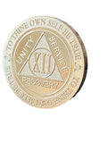 12 Year AA Medallion 1 oz Fine Silver Sobriety Chip Serenity Prayer Back .999 Pure