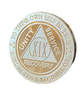 19 Year AA Medallion 1 oz Fine Silver Sobriety Chip Serenity Prayer Back .999 Pure