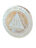 13 Year AA Medallion 1 oz Fine Silver Sobriety Chip Serenity Prayer Back .999 Pure