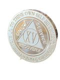 15 Year AA Medallion 1 oz Fine Silver Sobriety Chip Serenity Prayer Back .999 Pure