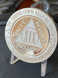 19 Year AA Medallion 1 oz Fine Silver Sobriety Chip Serenity Prayer Back .999 Pure