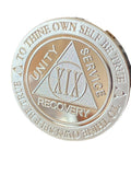 19 Year AA Medallion 1 oz Fine Silver Sobriety Chip Serenity Prayer Back .999 Pure