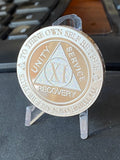 11 Year AA Medallion 1 oz Fine Silver Sobriety Chip Serenity Prayer Back .999 Pure