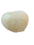 Tree of Life Engraved Inspirational Pocket Stone White Natural River Polished Rock