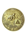 1 - 10 Year Seaturtle AA Medallion One Day At A Time Serenity Prayer Sea Turtle Sobriety Chip