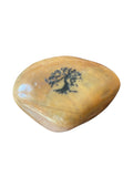 Tree of Life Engraved Inspirational Pocket Stone Carmel Natural River Polished Rock