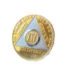 1 - 40 Year AA Medallion Bi-Plate Gold Nickel  Sobriety Chip