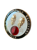 1 Year AA Founders Medallion White Red Glow In The Dark Sobriety Chip