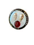 1 Year AA Founders Medallion White Red Glow In The Dark Sobriety Chip