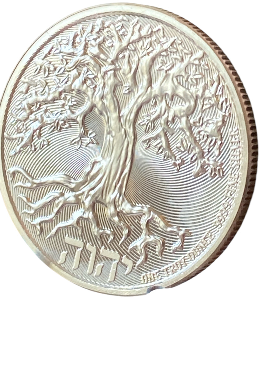 IMG-9025_1200x1200.jpg?v=