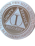 1 Year .5 oz .999 Fine Silver AA Medallion Trust God Clean House Help Others Doctor Bob Chip
