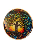 37 Year Multi-Color Tree Of Life Sobriety Medallion AA NA Chip Growing Along Spiritual Lines Back