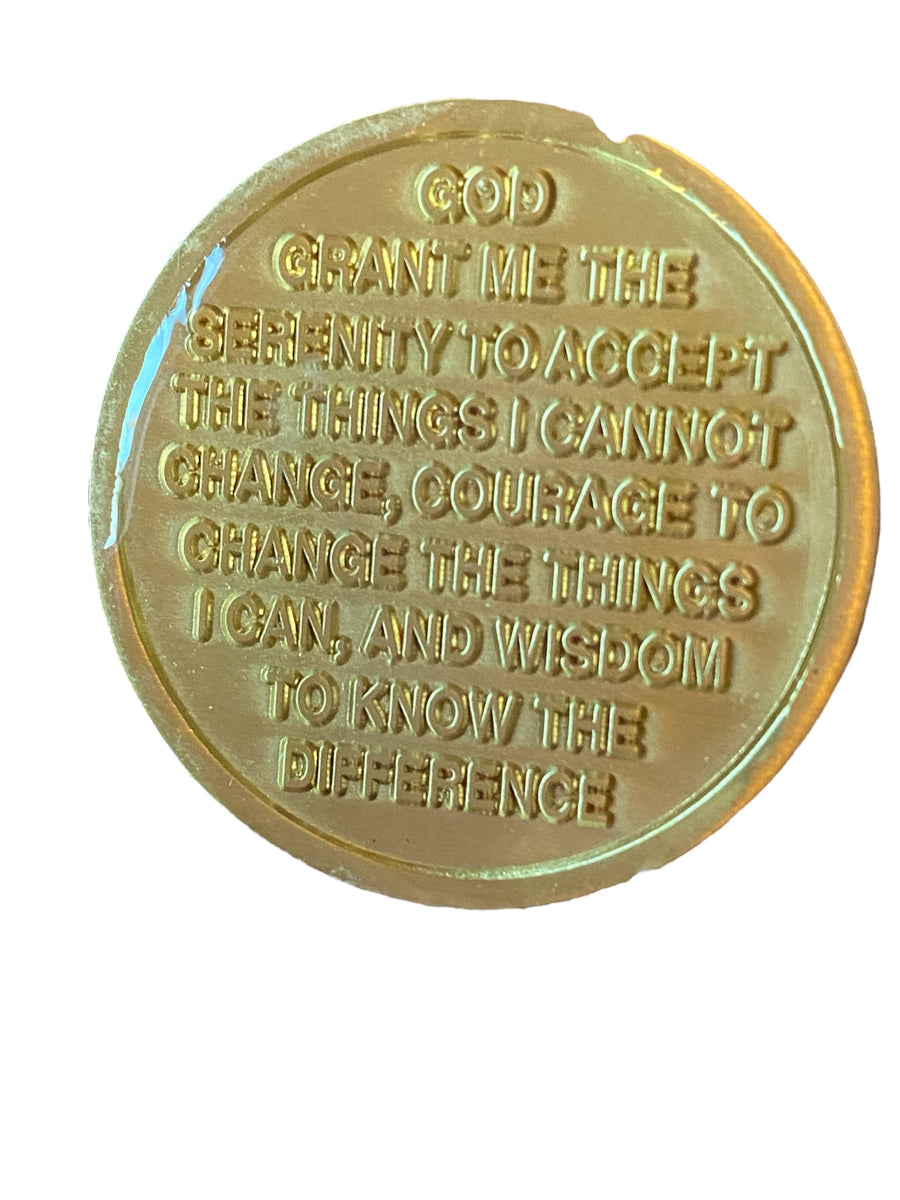 Mountain Climber One Day At A Time Medallion Serenity Prayer Chip ...