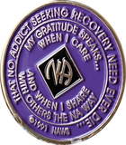 6 Year NA Clean Time Chip Purple Silver Glitter Official Narcotics Anonymous Medallion