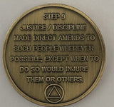 Set of 12 AA Twelve Step Coins Trust God Clean House Help Others Steps 1 - 12