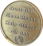 10 Year AA Medallion Trust God Clean House Help Others Doctor Bob Chip