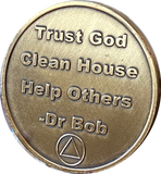 24 Hours AA Medallion Trust God Clean House Help Others Doctor Bob Chip