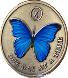 1 2 3 4 5 6 7 8 9 or 10 Year Blue Butterfly One Day At A Time Serenity Prayer Medallion Coin